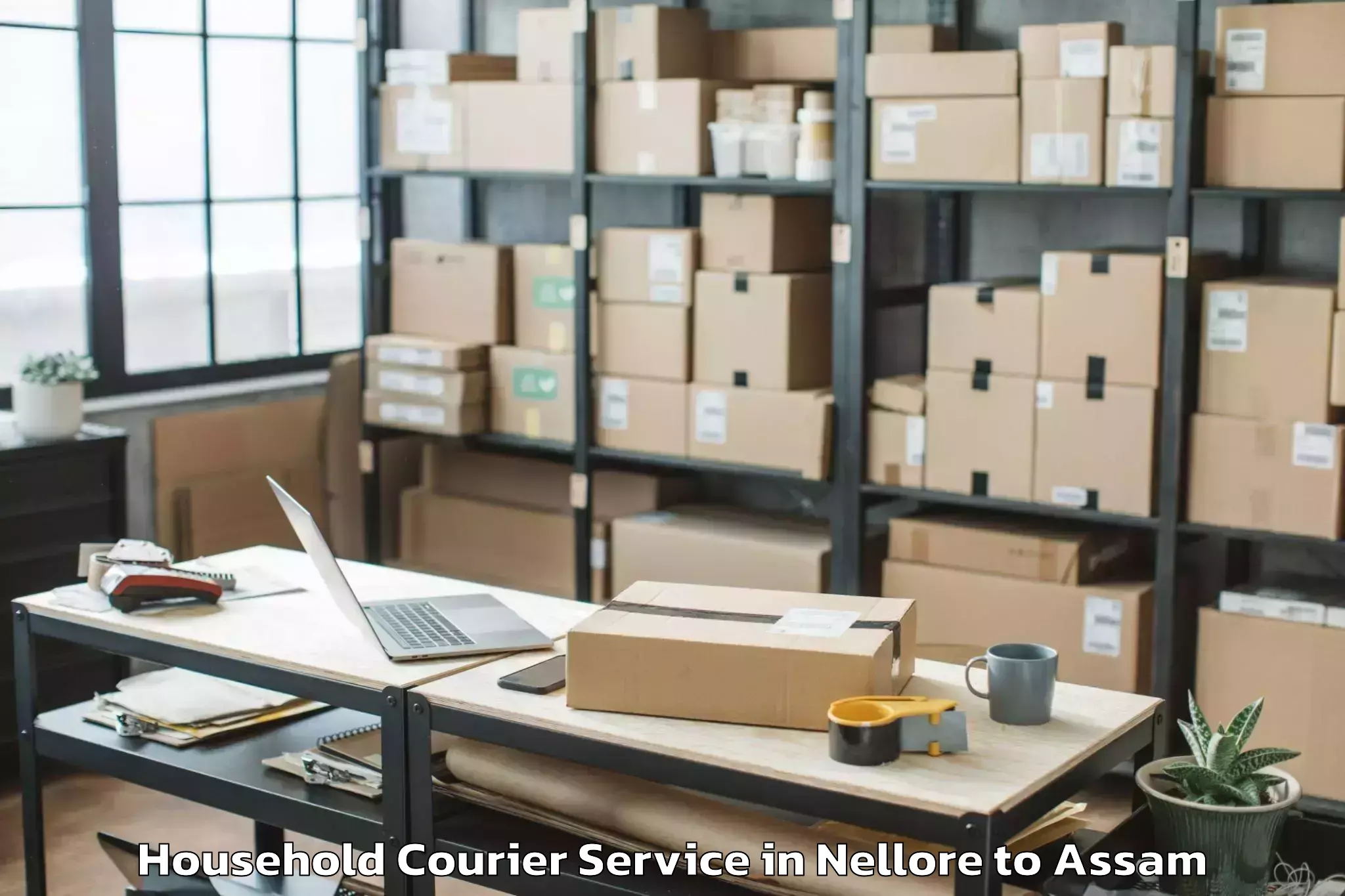 Book Nellore to Morigaon Household Courier Online